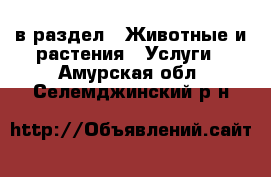  в раздел : Животные и растения » Услуги . Амурская обл.,Селемджинский р-н